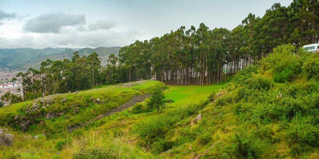 Selva De Cusco
