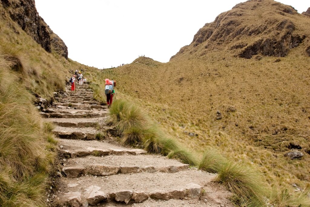 Machu Picchu Hiking Tours: Why do you need a guide to make the most of your trip?